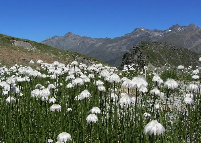 Florian Appartement *