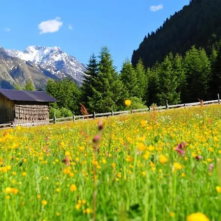 Florian St. Leonhard im Pitztal